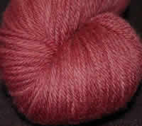 Dazzle DK Shiraz